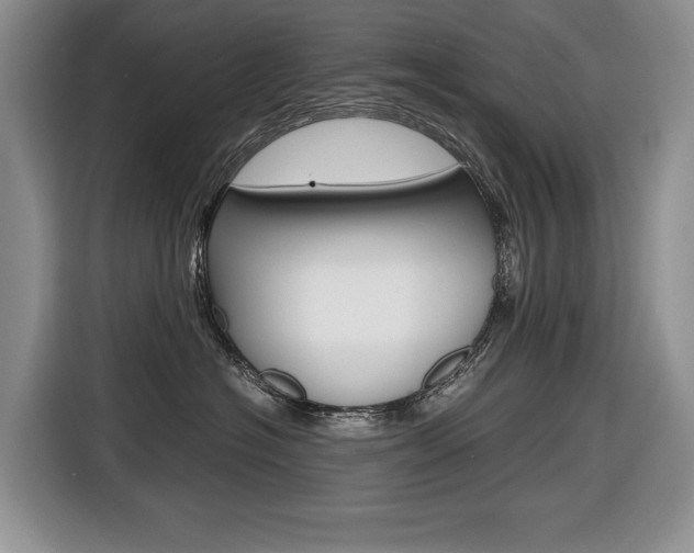 X0000116680574200912141008