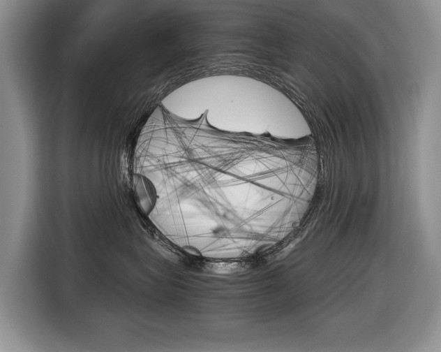 X0000116680575200912141008