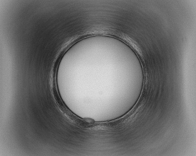 X0000116680578200912141007