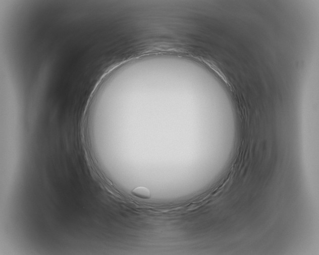 X0000116680579200912141007