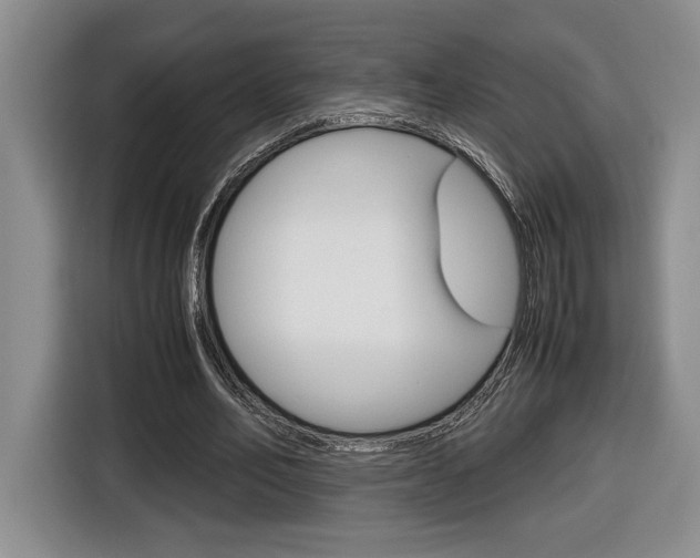X0000116680582200912141007