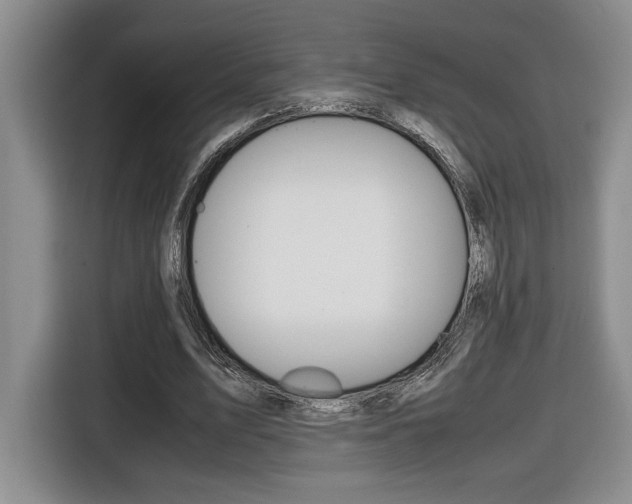 X0000116680583200912141007