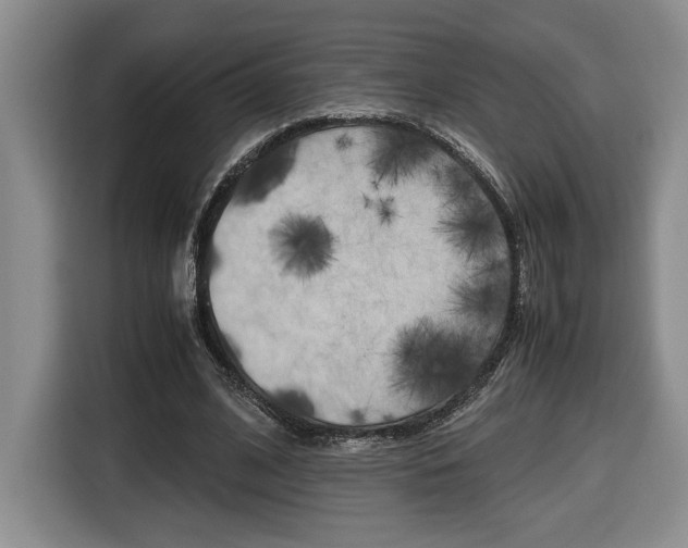 X0000116680584200912141007