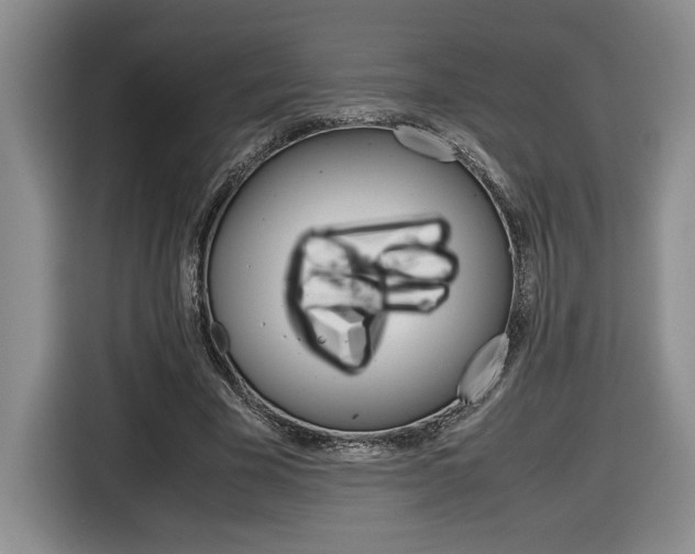 X0000116680585200912141007