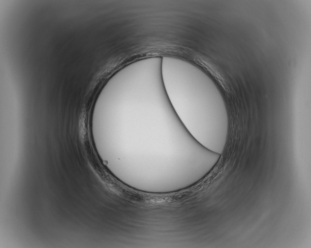 X0000116680586200912141007