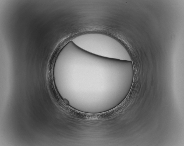 X0000116680587200912141007