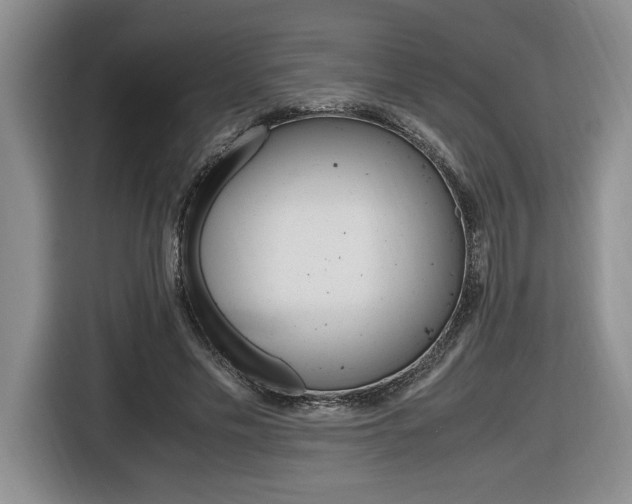 X0000116680589200912141007