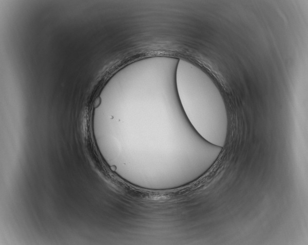 X0000116680590200912141007