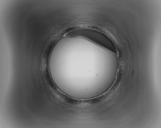 X0000116680593200912141007