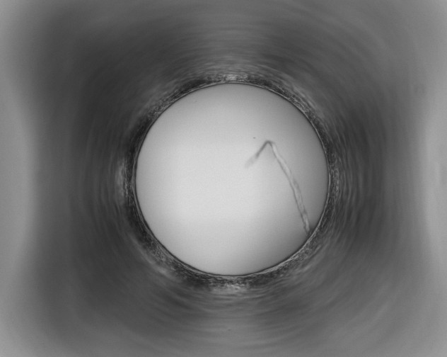 X0000116680594200912141007