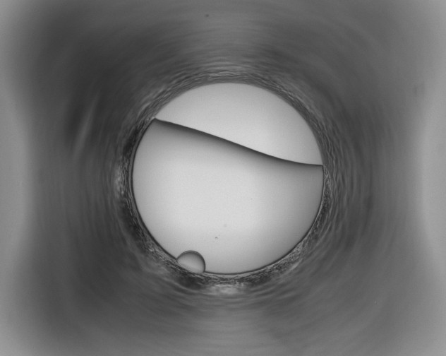 X0000116680595200912141007