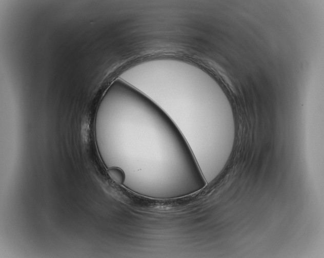 X0000116680596200912141007