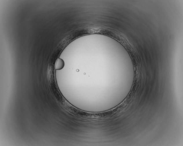 X0000116680598200912141007