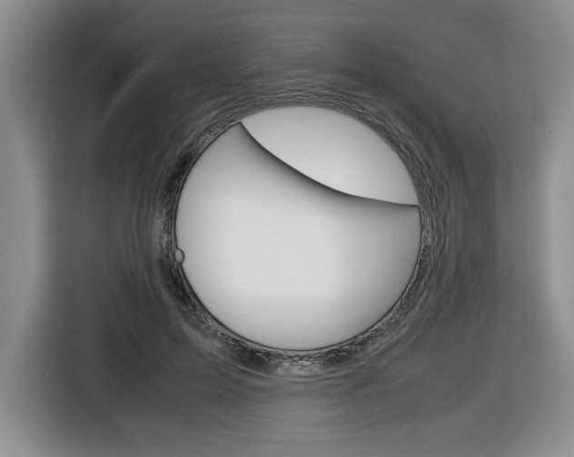 X0000116680599200912141007