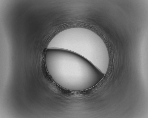 X0000116680601200912141007