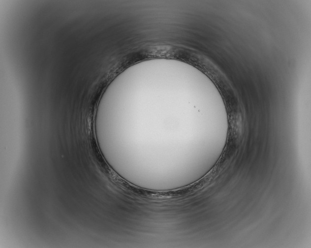 X0000116680602200912141007