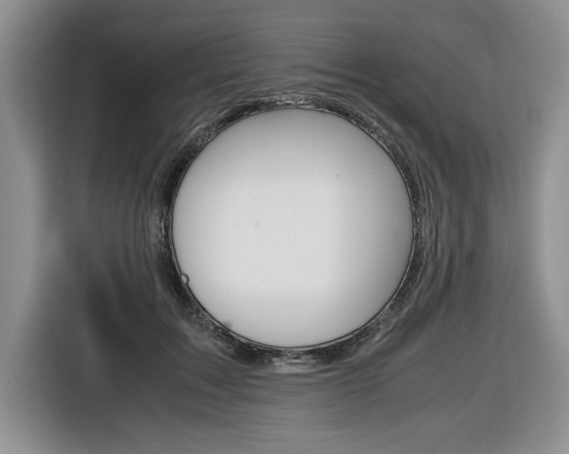 X0000116680603200912141007