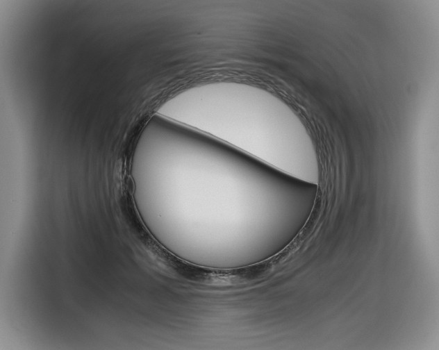 X0000116680605200912141007