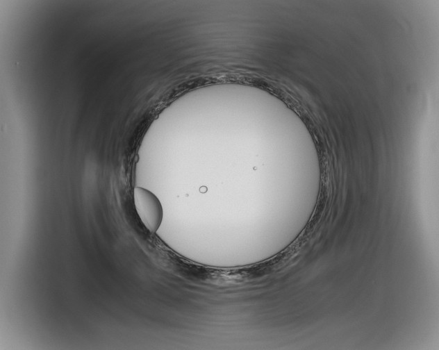 X0000116680607200912141007