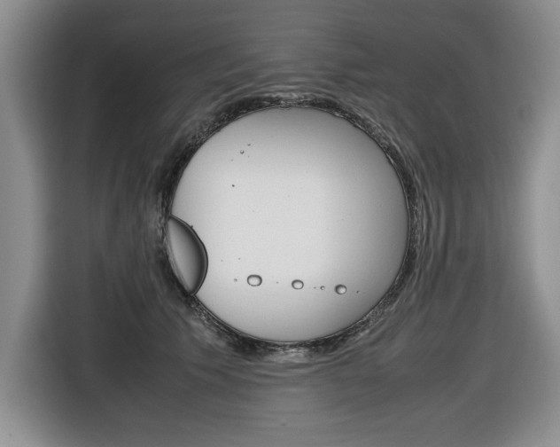 X0000116680609200912141007