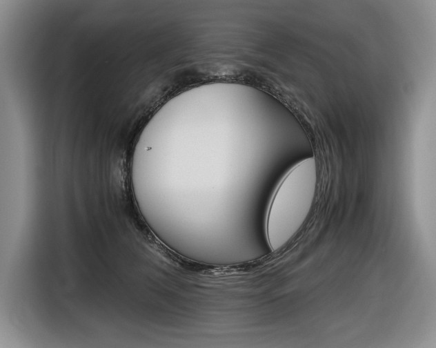 X0000116680612200912141007