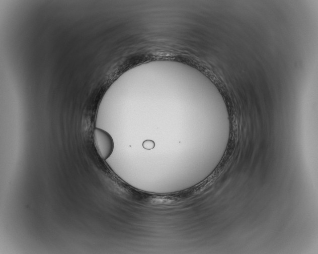 X0000116680614200912141007
