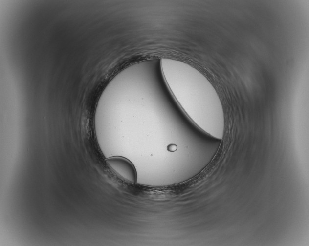 X0000116680615200912141006