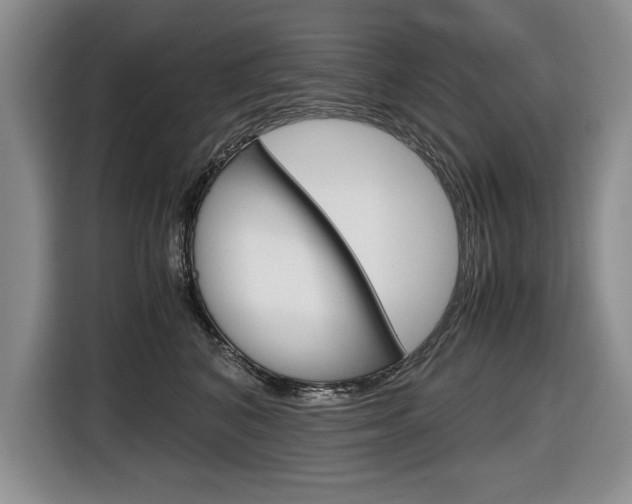 X0000116680616200912141006