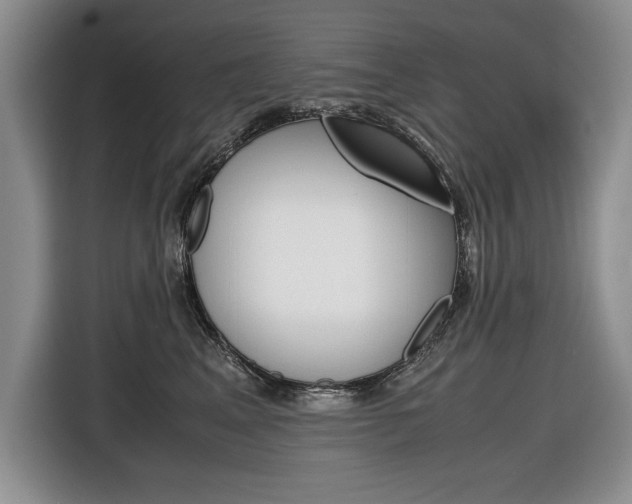 X0000116680617200912141006
