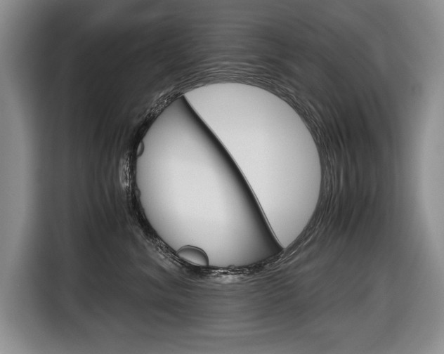 X0000116680620200912141006