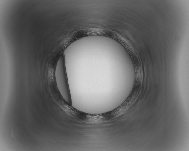 X0000116680621200912141006