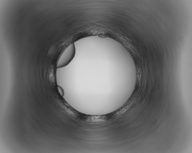 X0000116680622200912141006