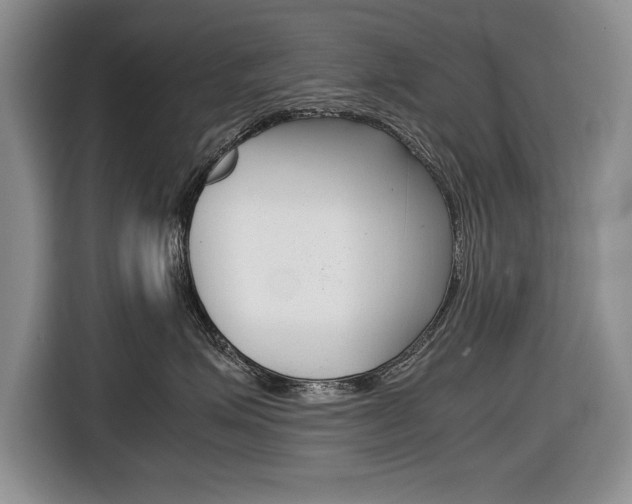 X0000116680623200912141006