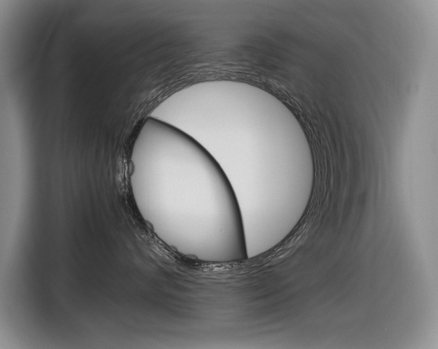 X0000116680624200912141006