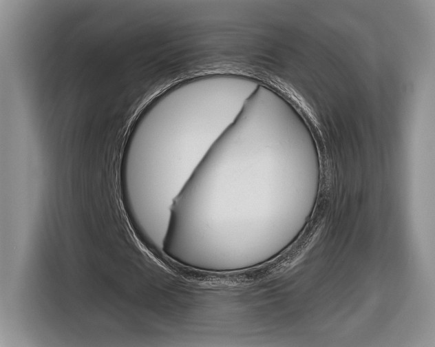 X0000116680625200912141006