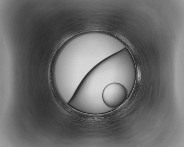 X0000116680627200912141006