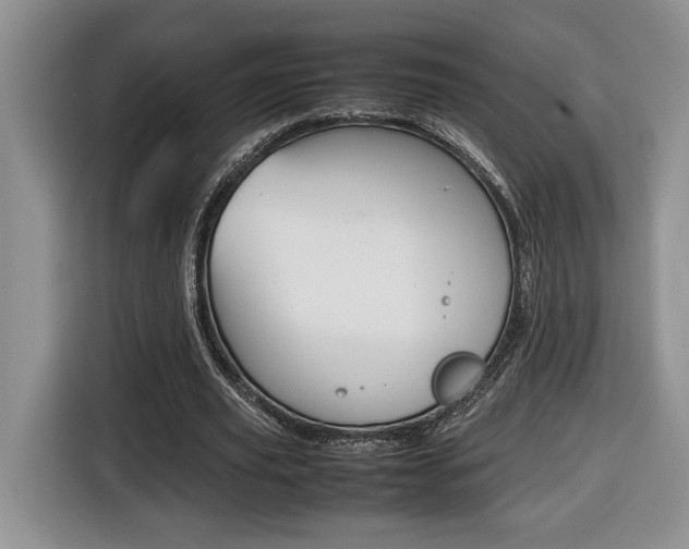X0000116680629200912141006