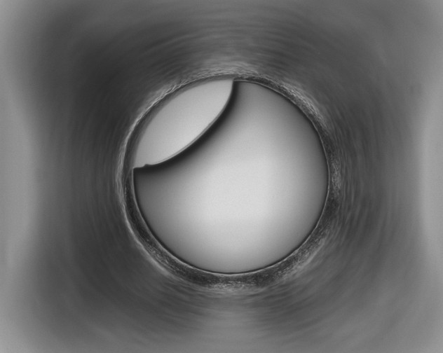 X0000116680630200912141006