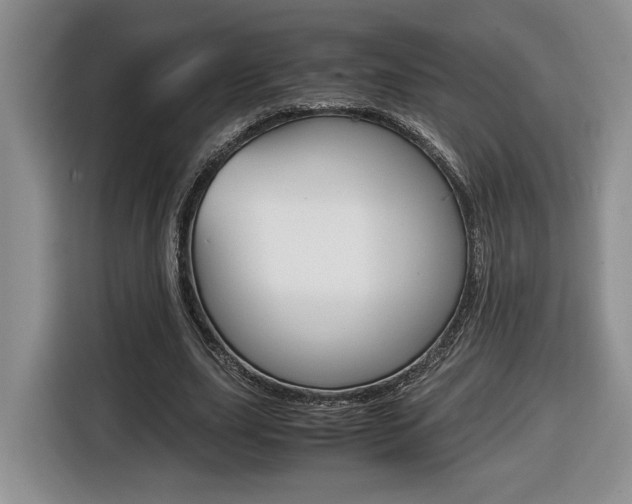 X0000116680631200912141006