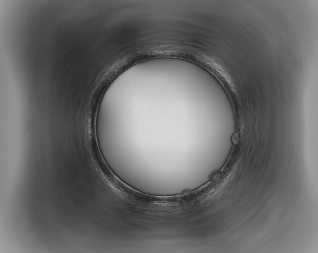 X0000116680633200912141006