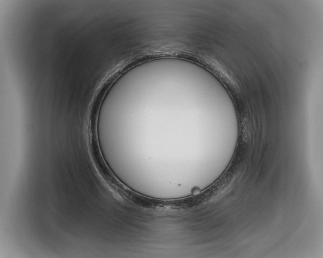 X0000116680634200912141006