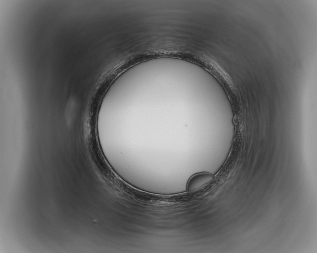 X0000116680635200912141006