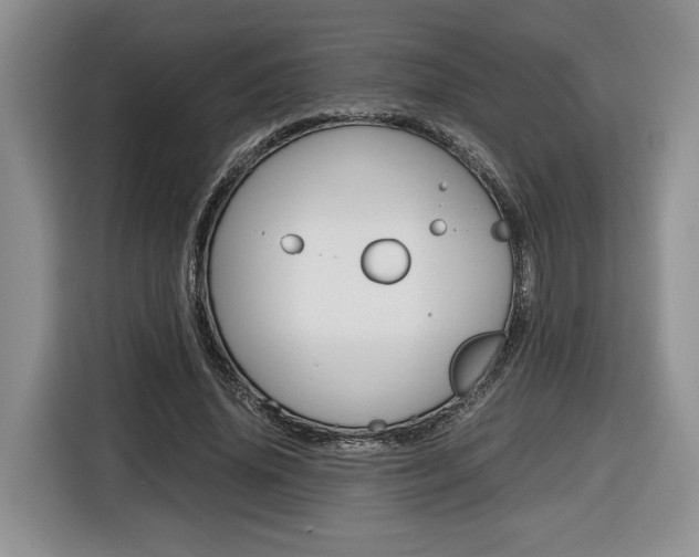 X0000116680636200912141006