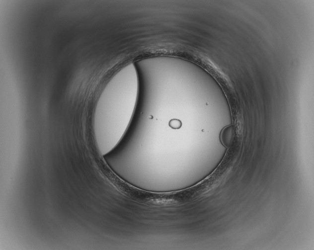 X0000116680637200912141006