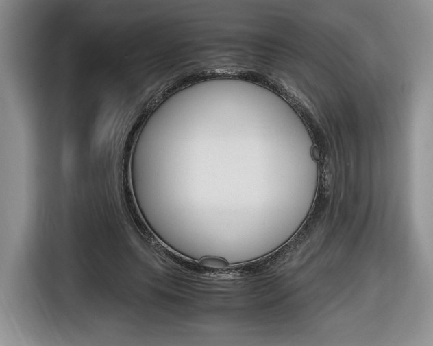X0000116680639200912141006