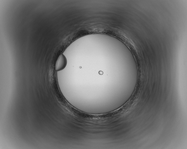 X0000116680641200912141006