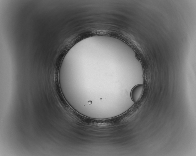 X0000116680645200912141006