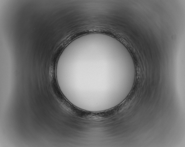 X0000116680648200912141006