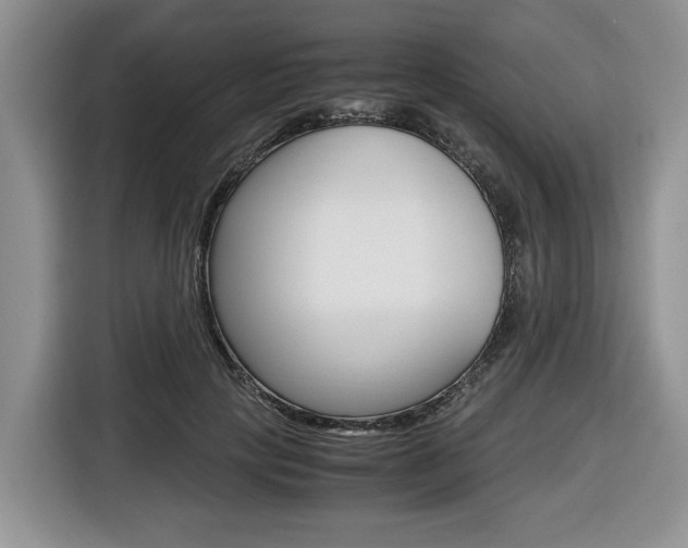 X0000116680649200912141006