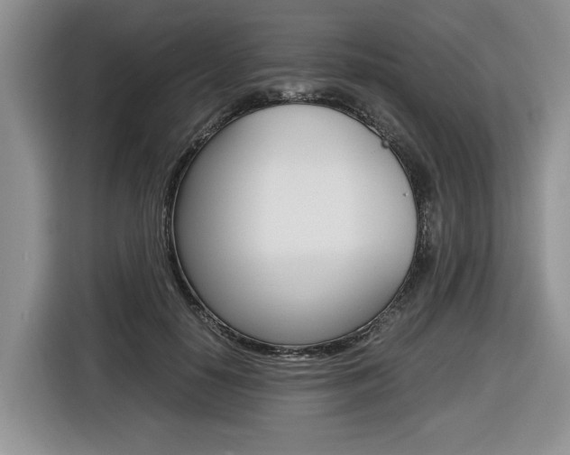 X0000116680650200912141006